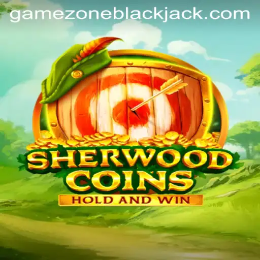 Embark on an Adventure in the Gamezone with SherwoodCoins